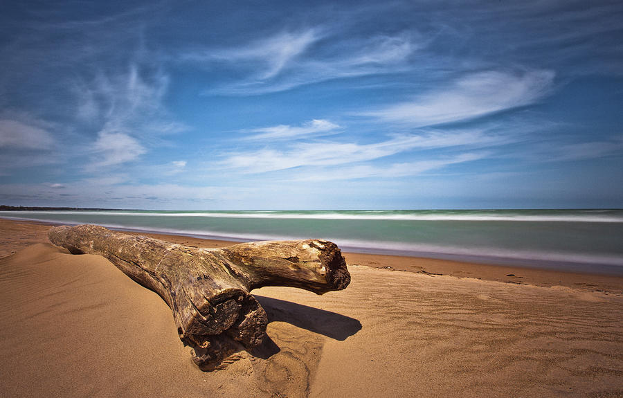 Log At Beach Photograph by Jobet Palmaira