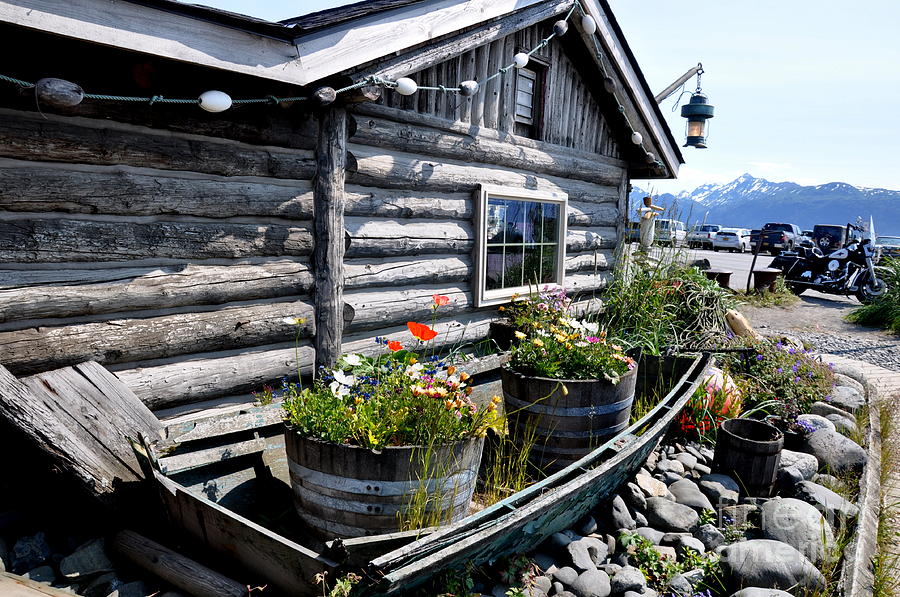 Log Cabin and Old Boat in Homer Alaska Photograph by Tatyana Searcy