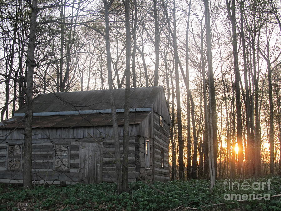 Log Cabin And Right Sunset Photograph By Tina M Wenger - Fine Art America