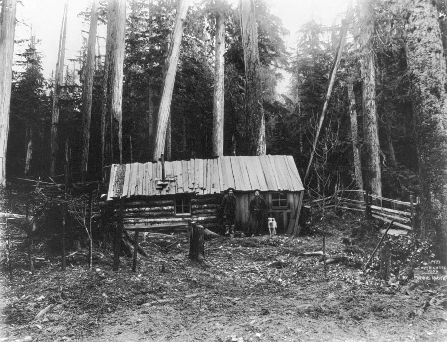 Log Cabin, C1906 Photograph by Granger