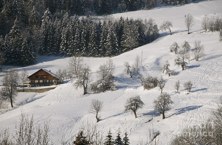 Log Cabin In The French Alps Photograph By Louise Fahy