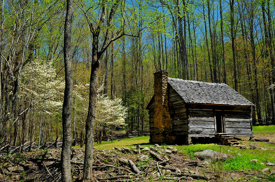 Log Cabin in the Smoky Mountain National Park Photograph by Don and ...