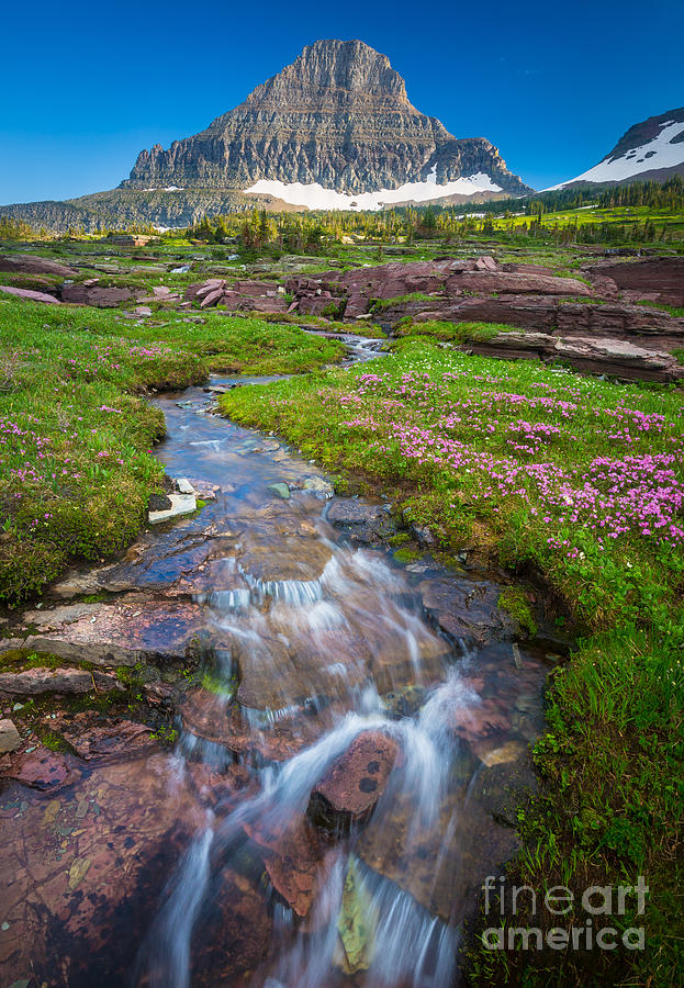 Mountain Photograph - Logan Pass Creek by Inge Johnsson
