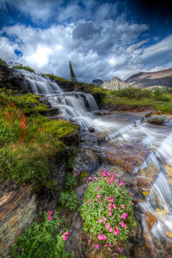 Logan Pass Waterfall Photograph by Walt Landi - Fine Art America