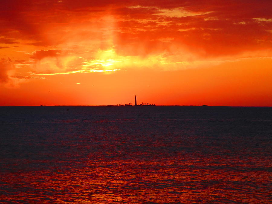 Sunset Photograph - Loggerhead by Capt  Pat  Moran