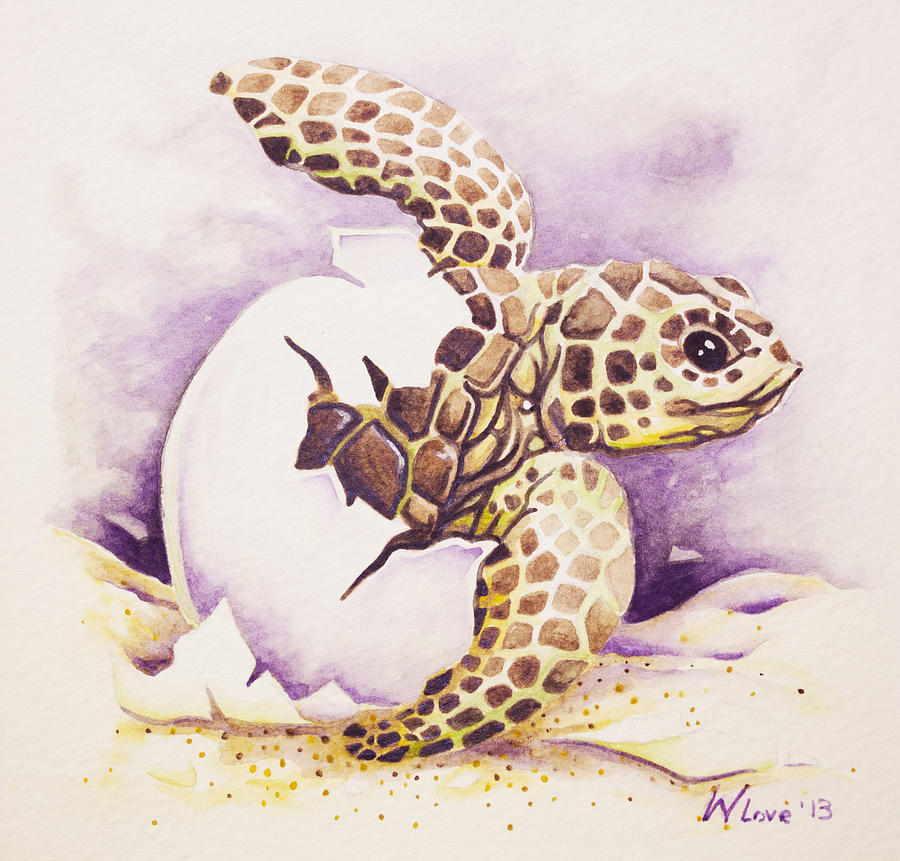 Loggerhead Hatchling Painting by William Love