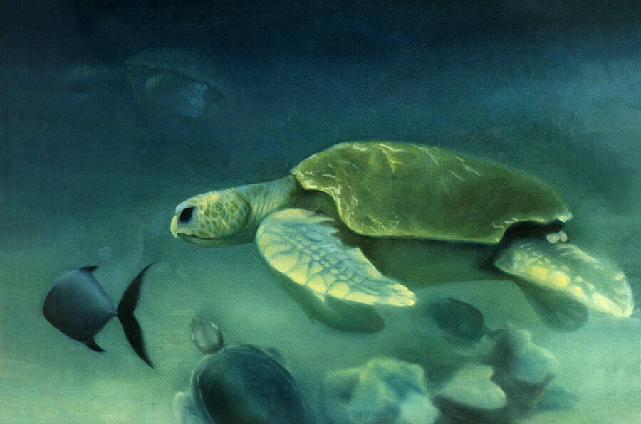 Loggerhead Turtles Painting - Loggerhead Turtle by Anni Adkins Loggerhead Turtles Painting - Loggerhead Turtle by Anni Adkins