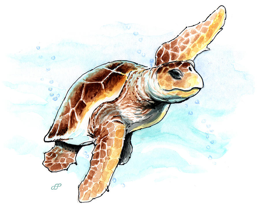 Loggerhead Turtle Painting by Stephen Paul Herchak