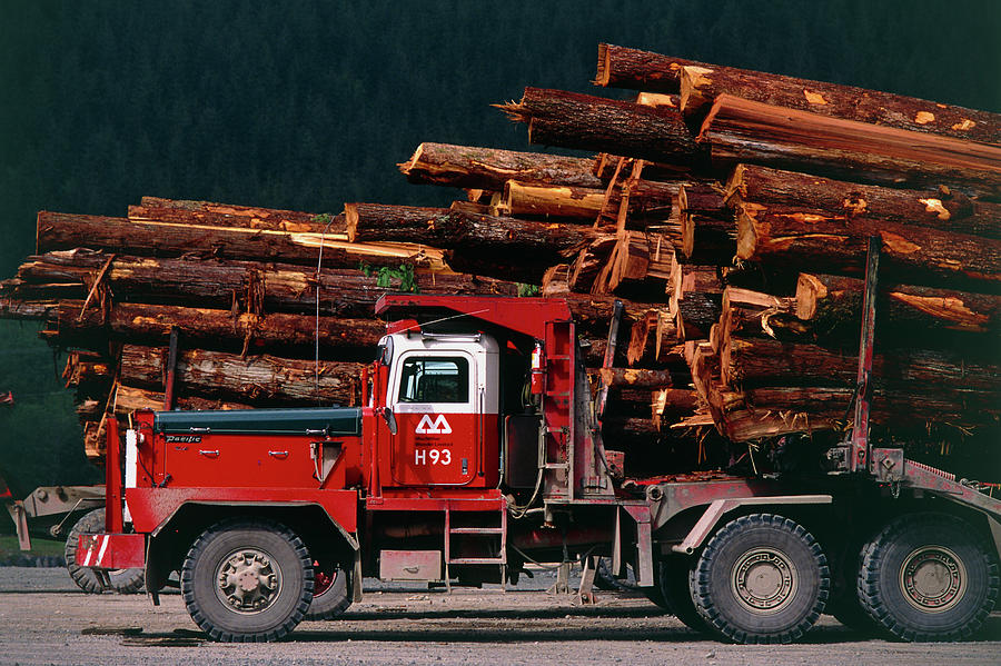 logging-truck-loaded-with-logs-photograph-by-david-nunuk-science-photo