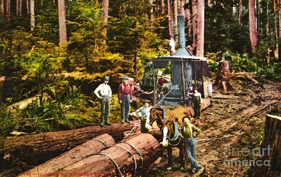 Logging Photograph - Logging with steam Donkey Engine near Olympia Washington circa 1900 by Monterey County Historical Society