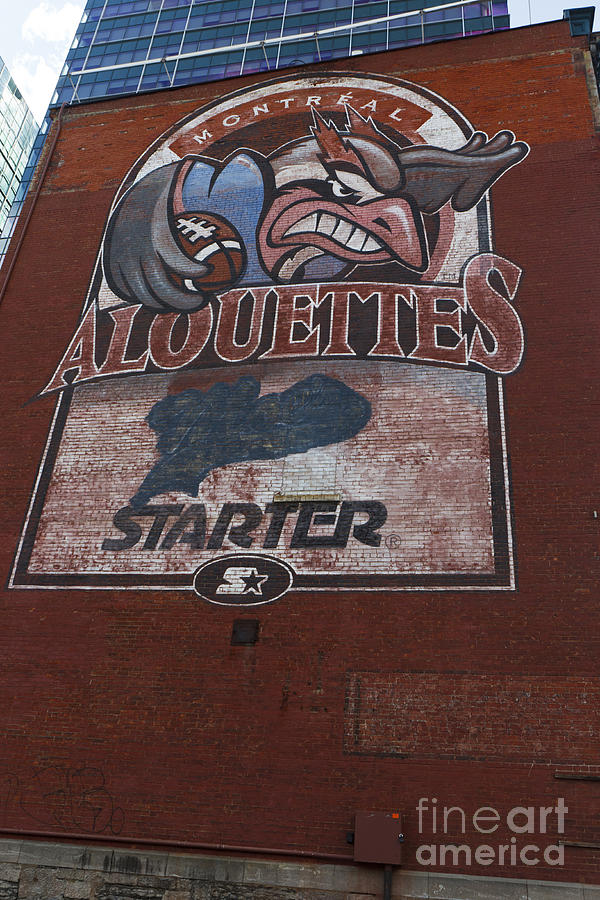 Logo for the Montreal Alouettes Photograph by Jason O Watson