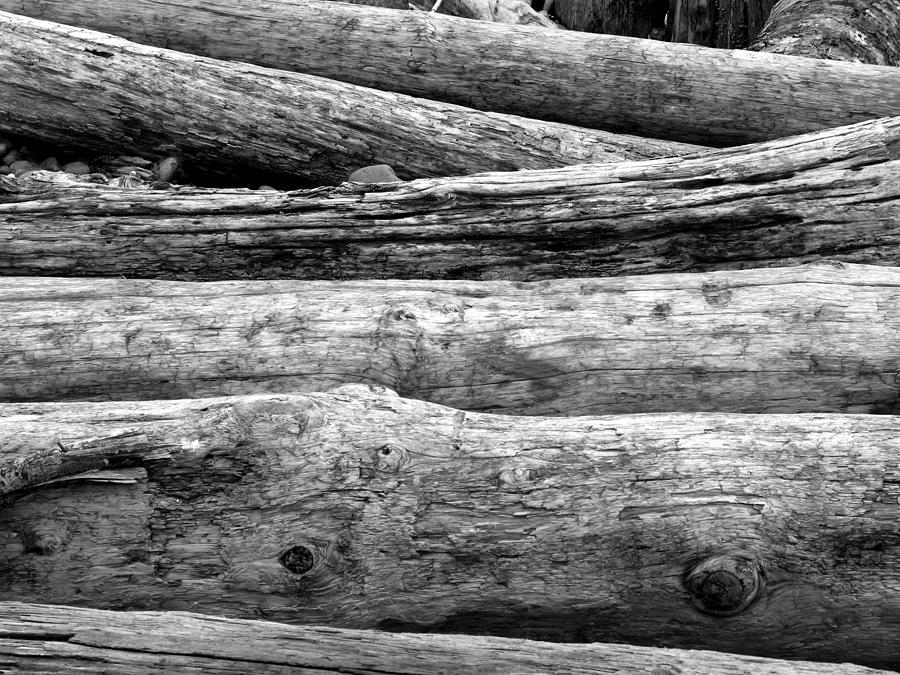 Logs Photograph by Gerry Bates