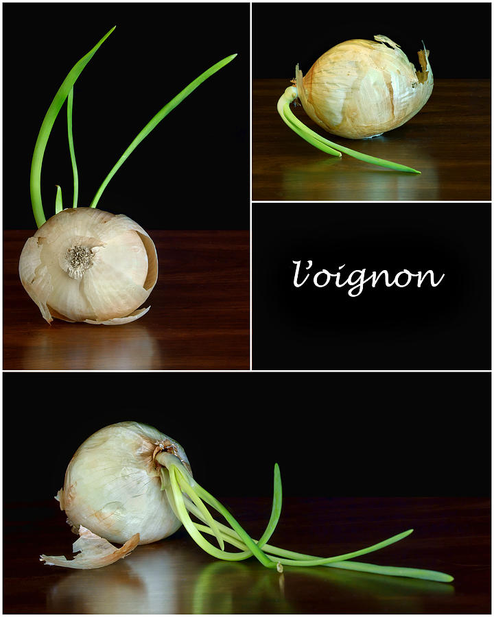 Onion Photograph - Loignon by Nikolyn McDonald
