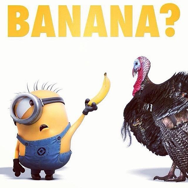 Turkey Photograph - Lol #thanksgiving #minion #banana by Chuck Oliva