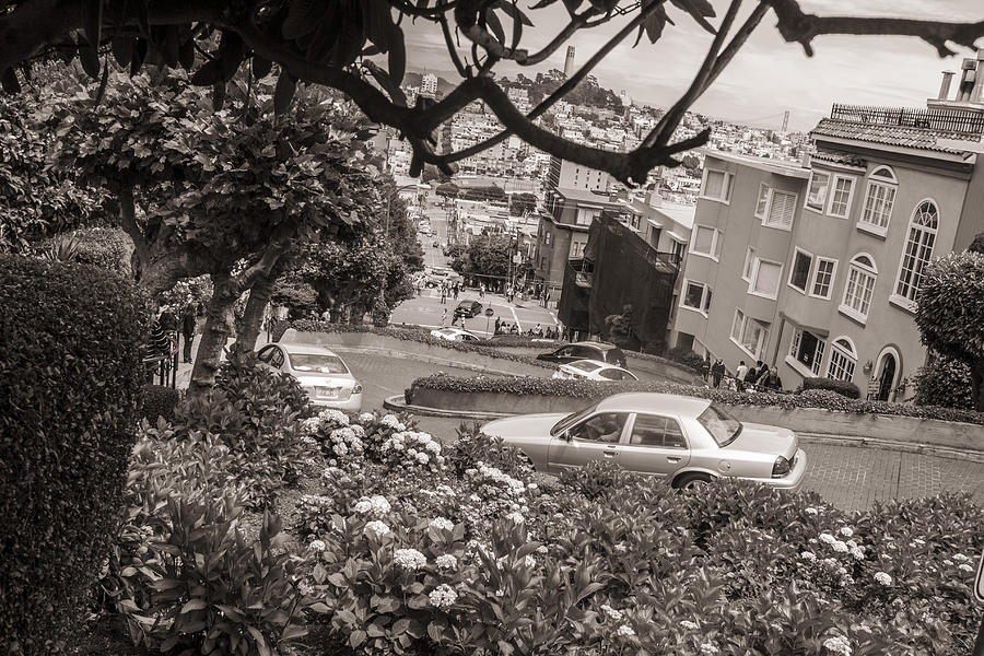 Lombard Street and Coit Tower in San Fransico Photograph by John McGraw