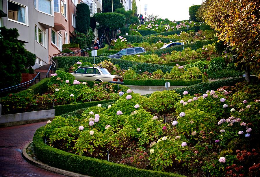 Lombard Street Photograph by Eric Tressler