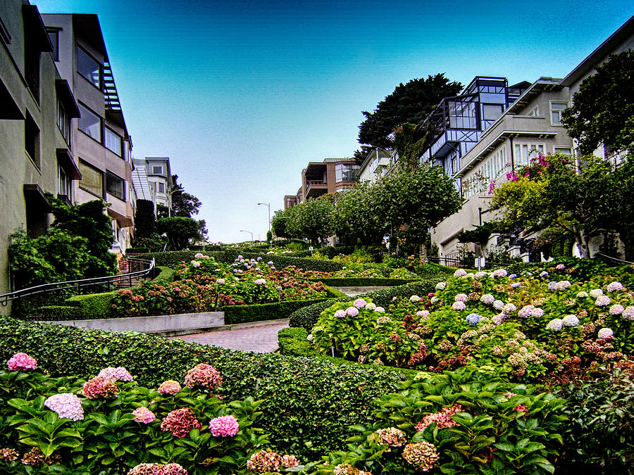 San Francisco Photograph - Lombard Street by Tricia Marchlik