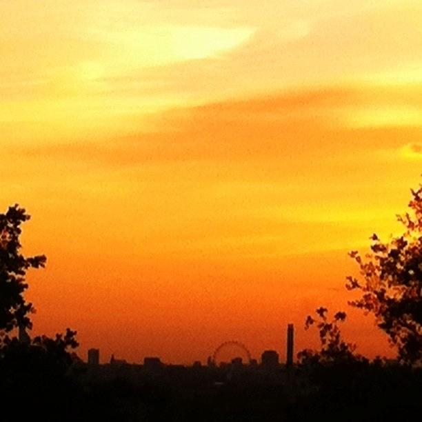 Sunset Photograph - London Eye From Blackheath. No Filter by James McCartney
