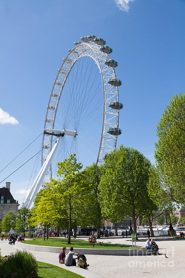 London Eye from Jubilee Gardens. Photograph by Peter Noyce