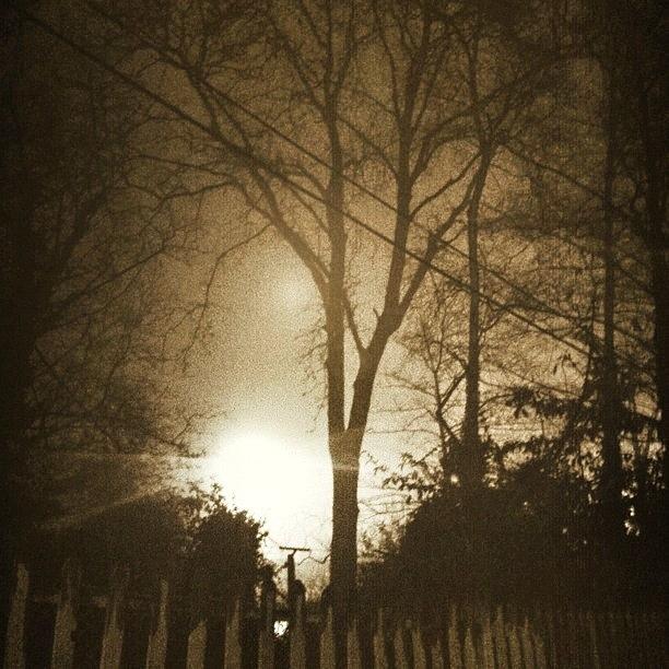 London Photograph - #london #fog by Andy Mcdermott