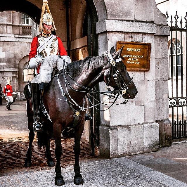 London Photograph - London, Palace Guard by Aleck Cartwright