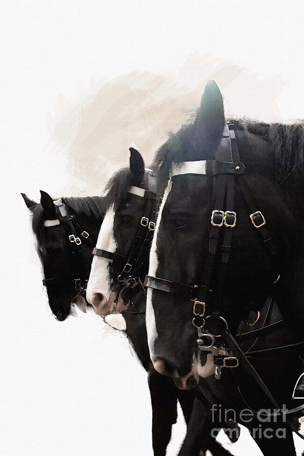 London parade horses Digital Art by Roger Lighterness