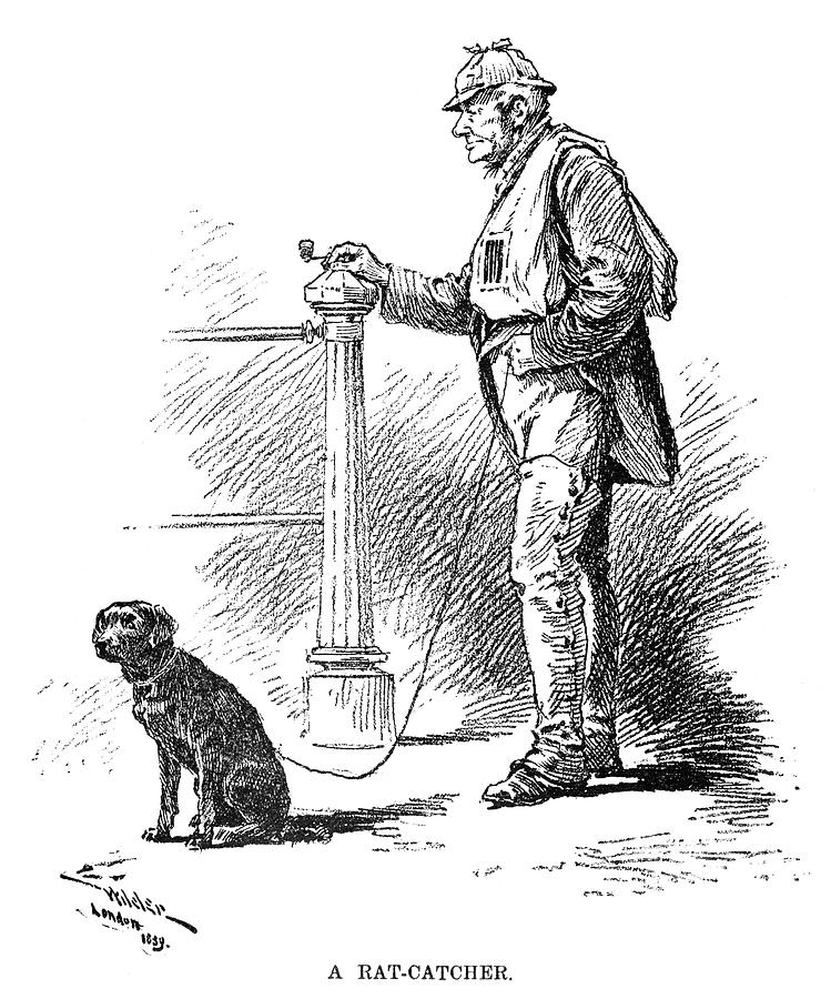London Rat Catcher, 1890 Painting by Granger - Fine Art America