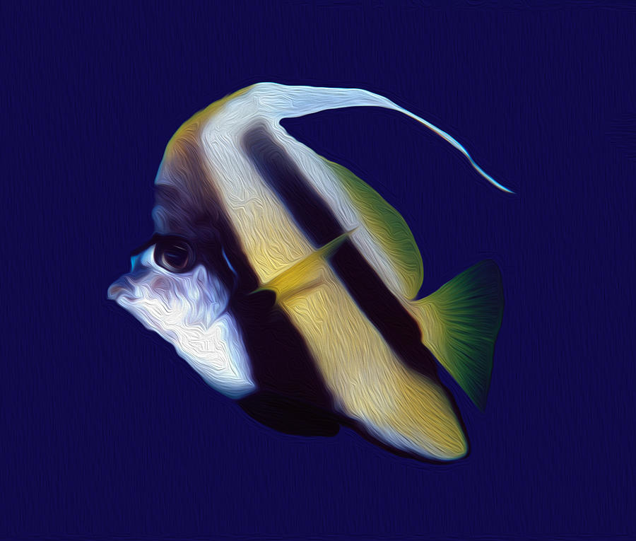 Lone Banner fish Digital Art by Roy Pedersen