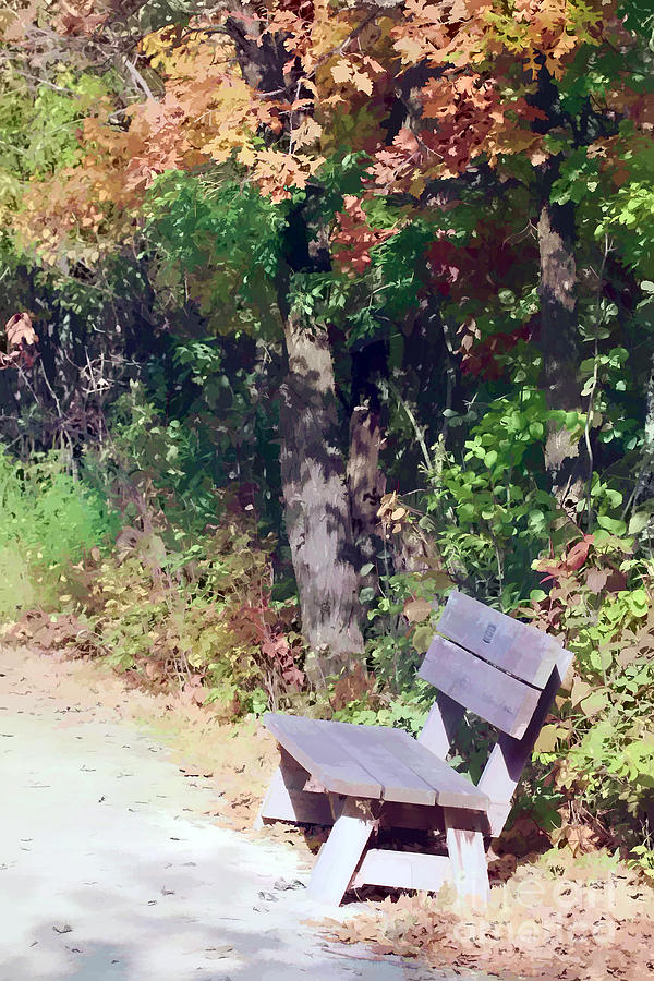 Fall Photograph - Lone Bench Under A Tree by Teresa Zieba