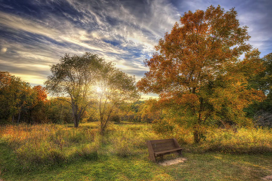 Lone Bench Under Tree - Fall Sunset - Retzer Nature Center - Waukesha Wisconsin Photograph by Jennifer Rondinelli Reilly - Fine Art Photography