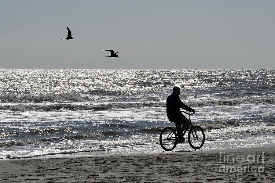 Lone biker on beach Photograph by Dan Friend