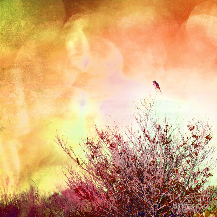 Stork Digital Art - Lone Bird in Tree by Phill Petrovic
