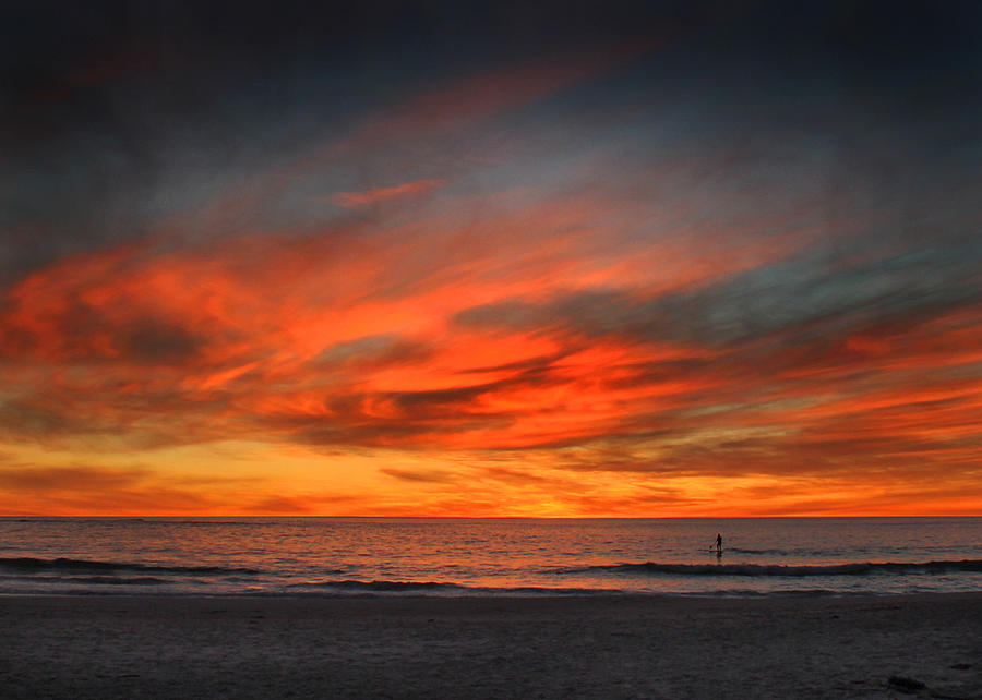 Sunset Photograph - Lone Boarder by Ed Pettitt