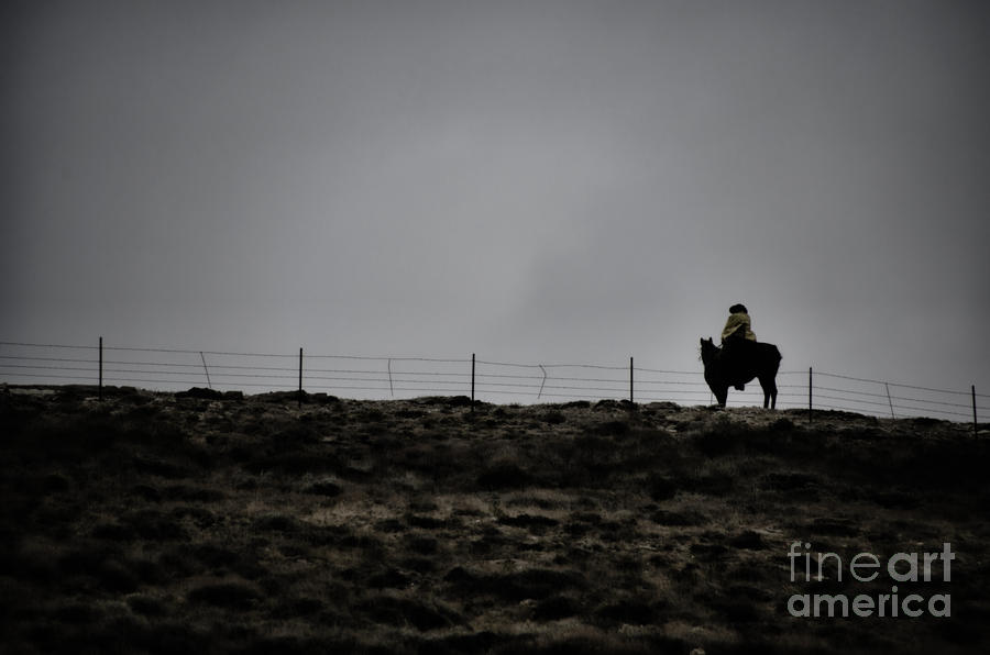 Lone Cowboy Photograph by Donna Greene