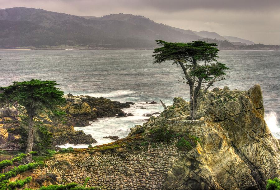 Lone Cypress Across Monterey Peninsula-1 Central California Coast Spring Mid-Afternoon Photograph by Michael Mazaika