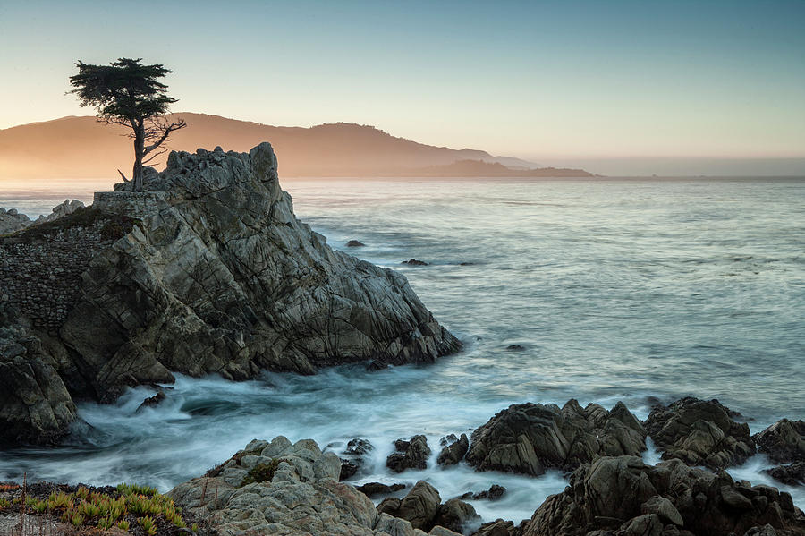 Lone Cypress At Pebble Beach Photograph by Michael Okimoto Lone Cypress At Pebble Beach Photograph by Michael Okimoto