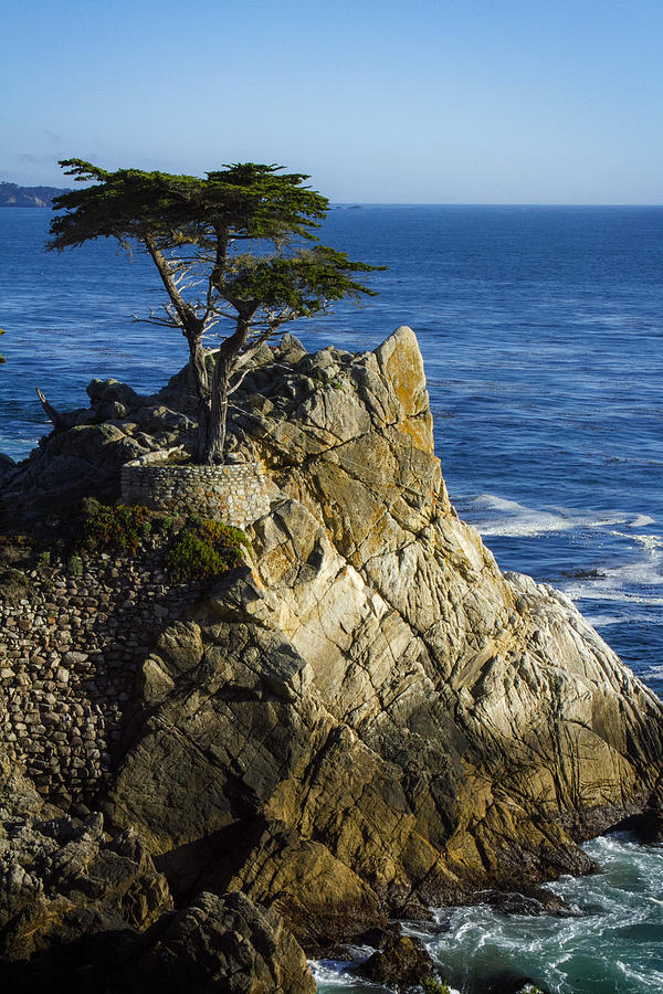 Landscape Photograph - Lone Cypress by Leon Chang