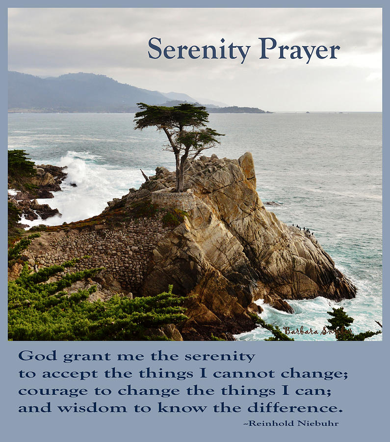 Lone Cypress Serenity Prayer Photograph by Barbara Snyder