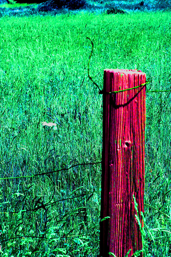 Lone Fence Post Photograph by Joseph Coulombe