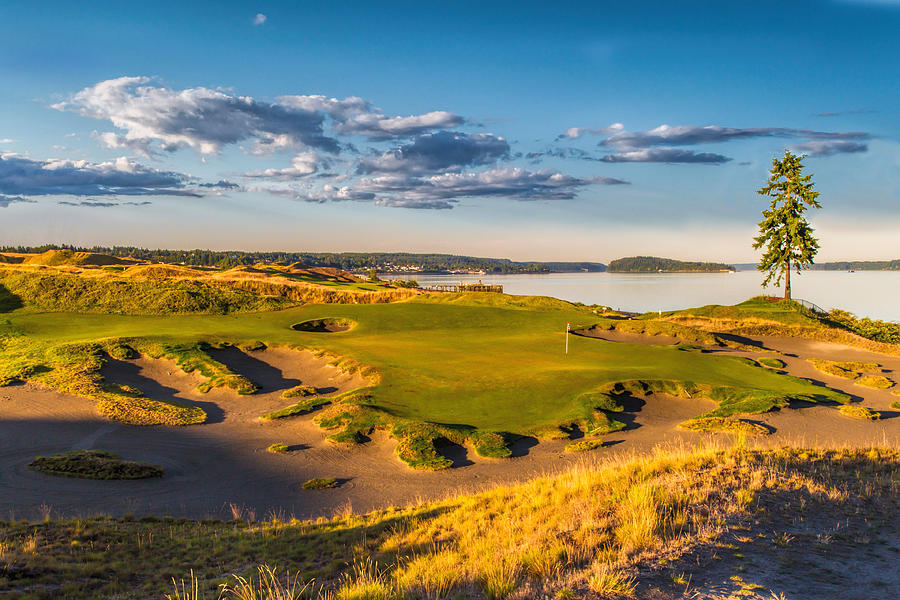 #15 At Chambers Bay Golf Course - Lone Fir Photograph