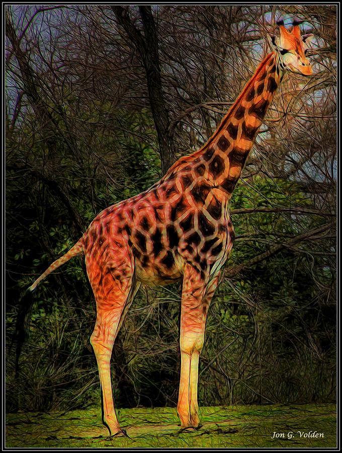 Lone Giraffe Painting by Jon Volden