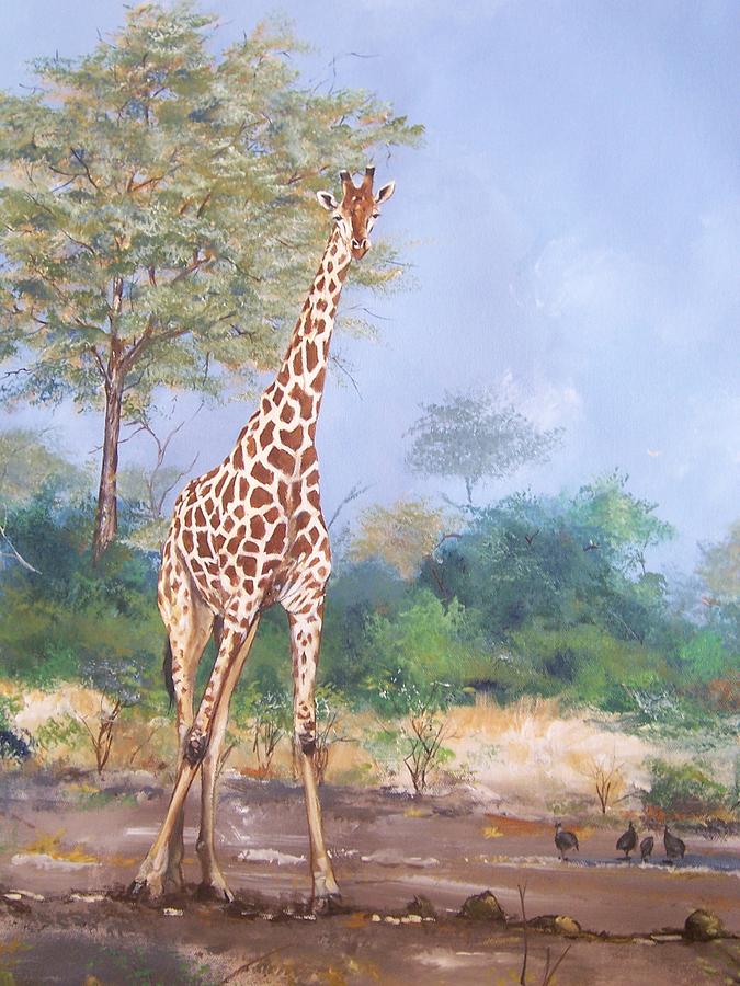 Wildlife Painting - Lone Giraffe by Robert Teeling