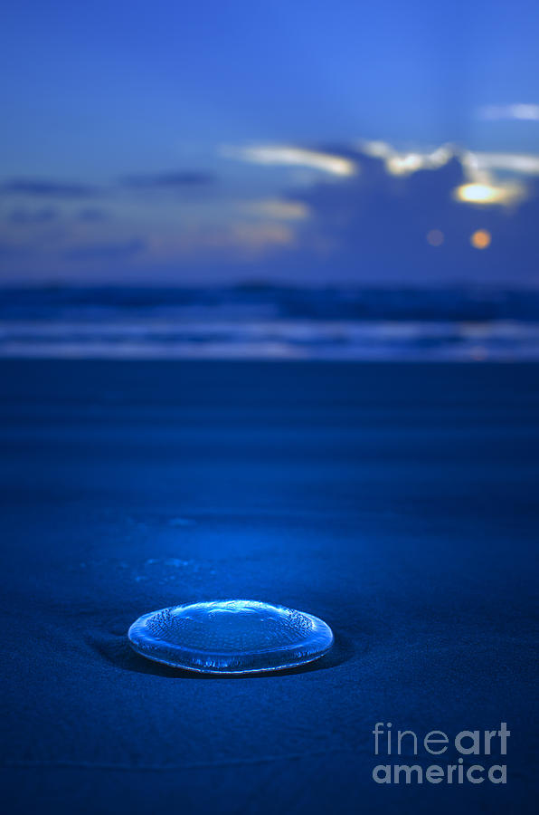 Lone Jelly Photograph by Jerry Hart