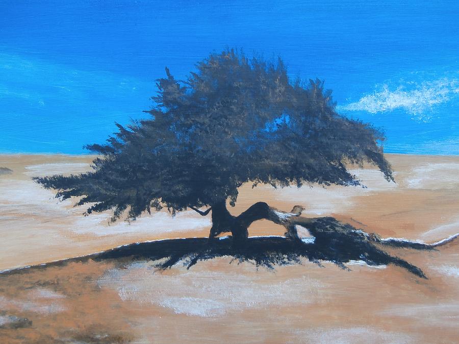 Lone Juniper  Painting by Denise Hills