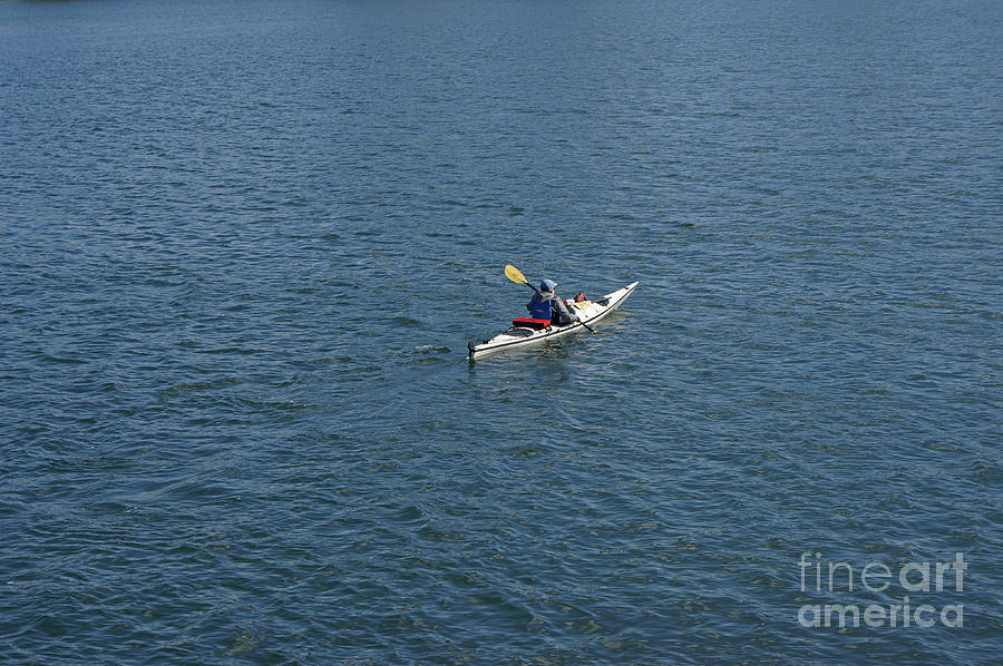 Lone Kayaker Vancouver Photograph by John  Mitchell