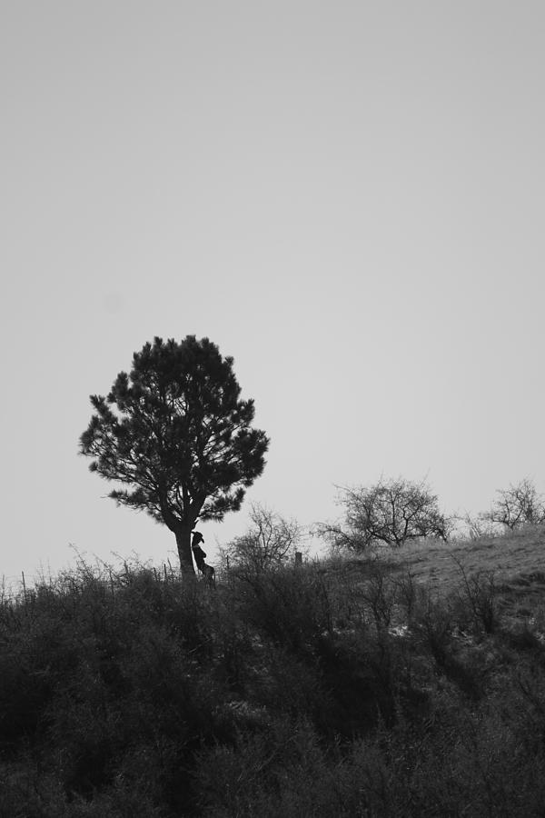 Black And White Photograph - Lone Pine Cowboy by Connie Zarn
