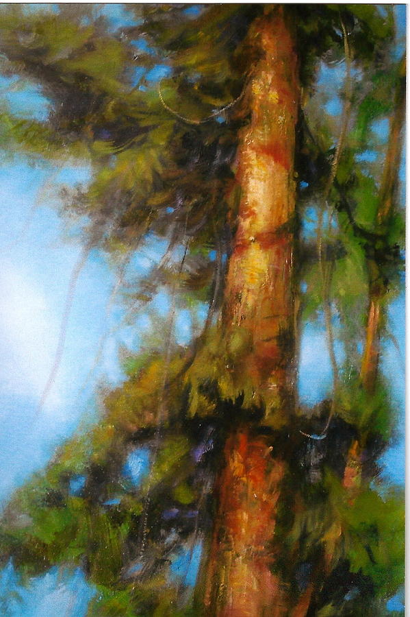 Lone Pine Painting by Richard Hinger