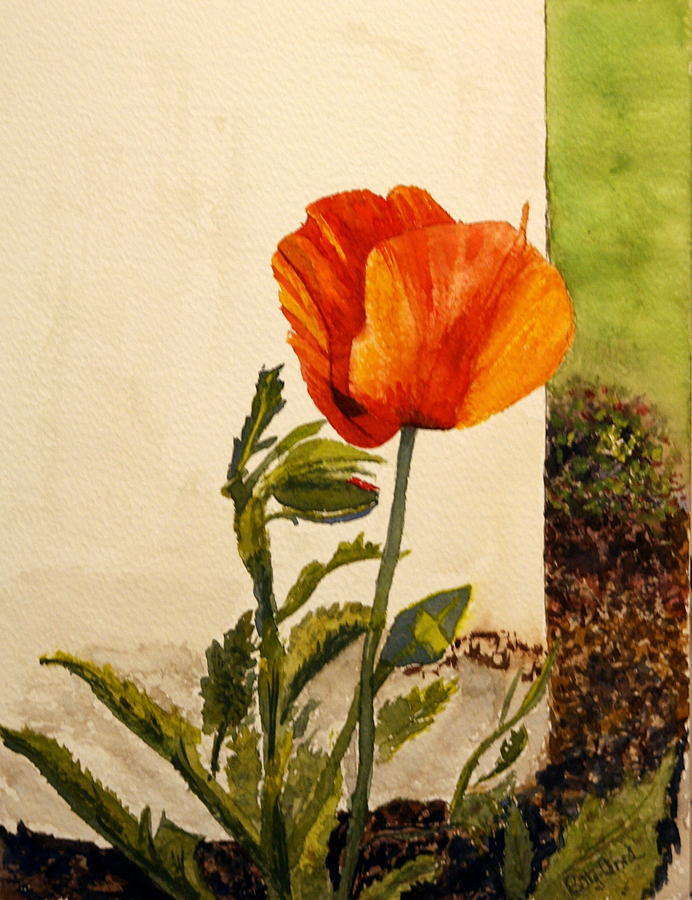 Lone Poppy Painting by Betty-Anne McDonald