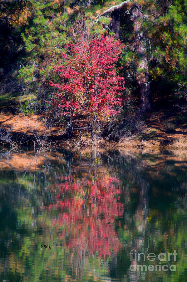 Lone Red Reflection Photograph by Patrick Witz