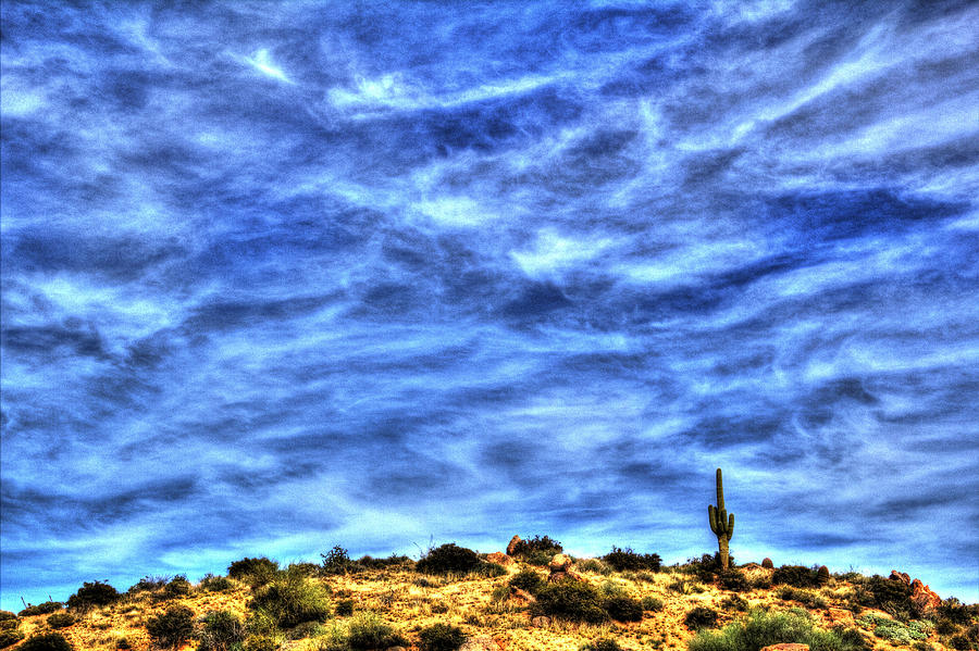 Lone Saguaro on a Hilltop Photograph by Roger Passman